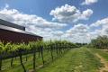 Huber's Orchard & Winery