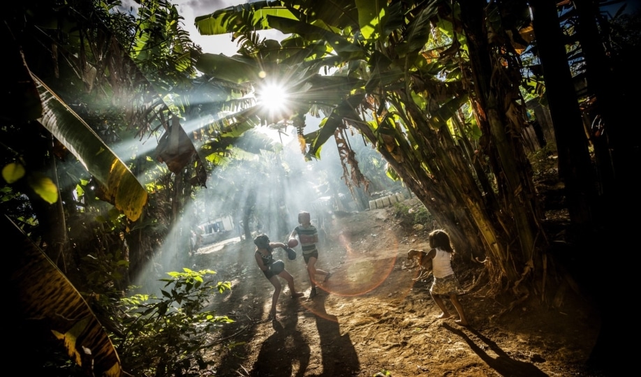 Photo of children practicing boxing among trees as light shines through