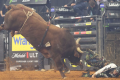 Kubota PBR Louisville